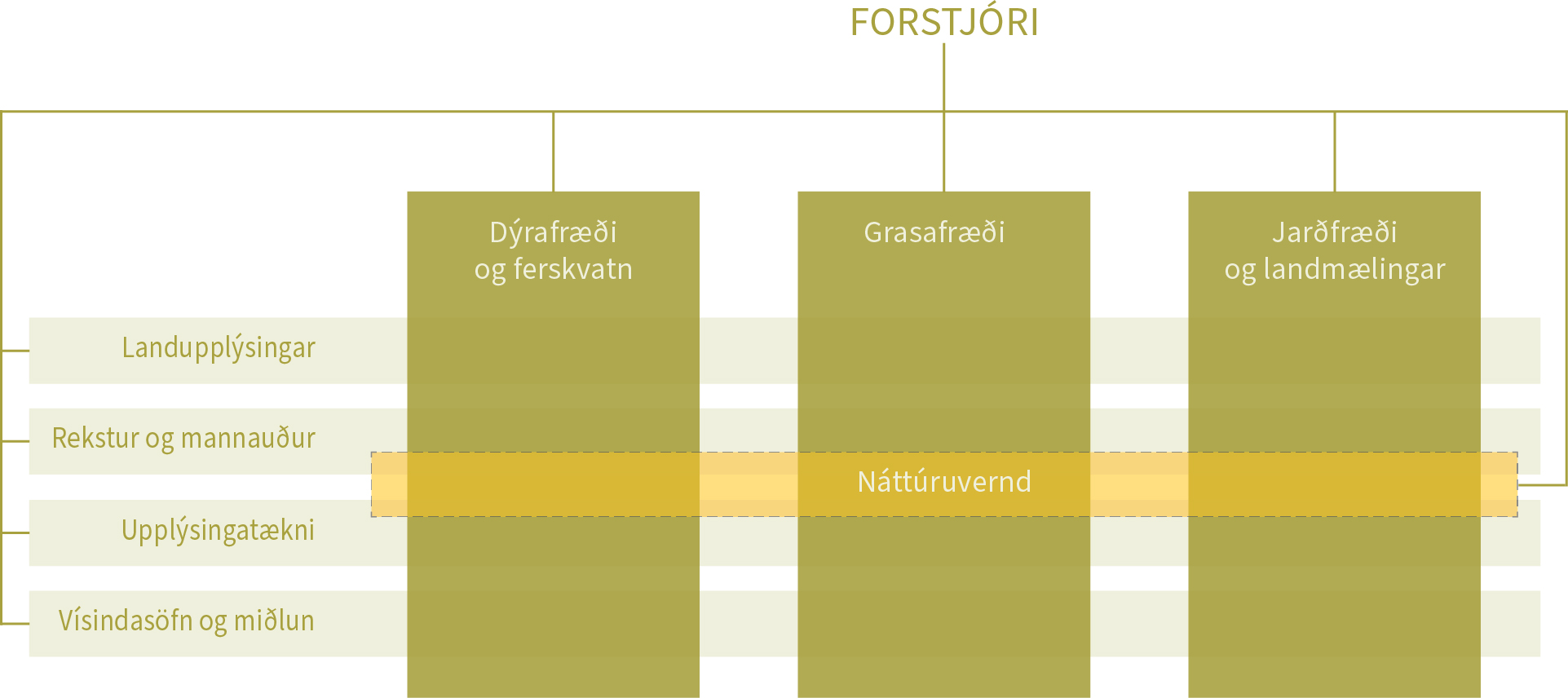 Skipurit Náttúrufræðistofnun Íslands