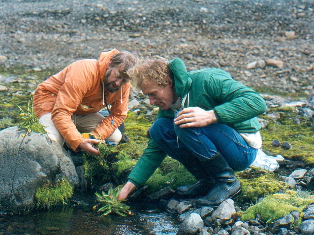 Eyþór Einarsson grasafræðingur og Sigurður H. Magnússon plöntuvistfræðignur vinna að gróðurrannsóknum í Esjufjöllum í júlí árið 1977.