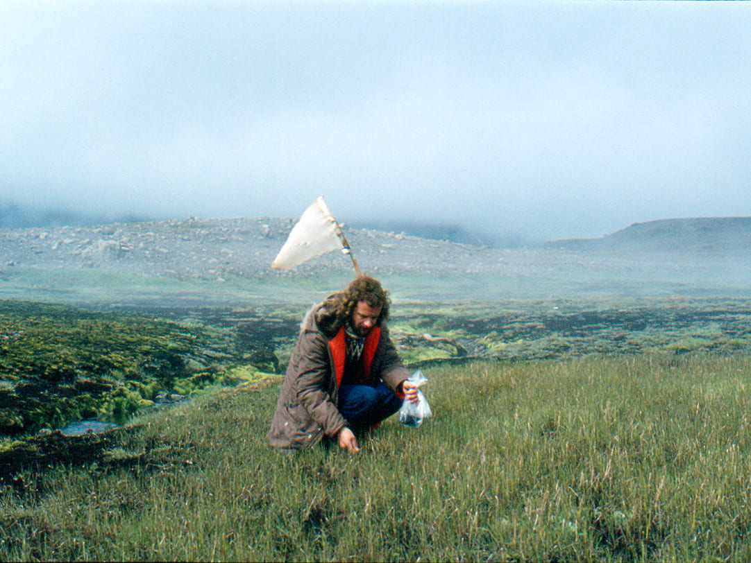 Skordýrum safnað í Esjufjöllum árið 1977. 