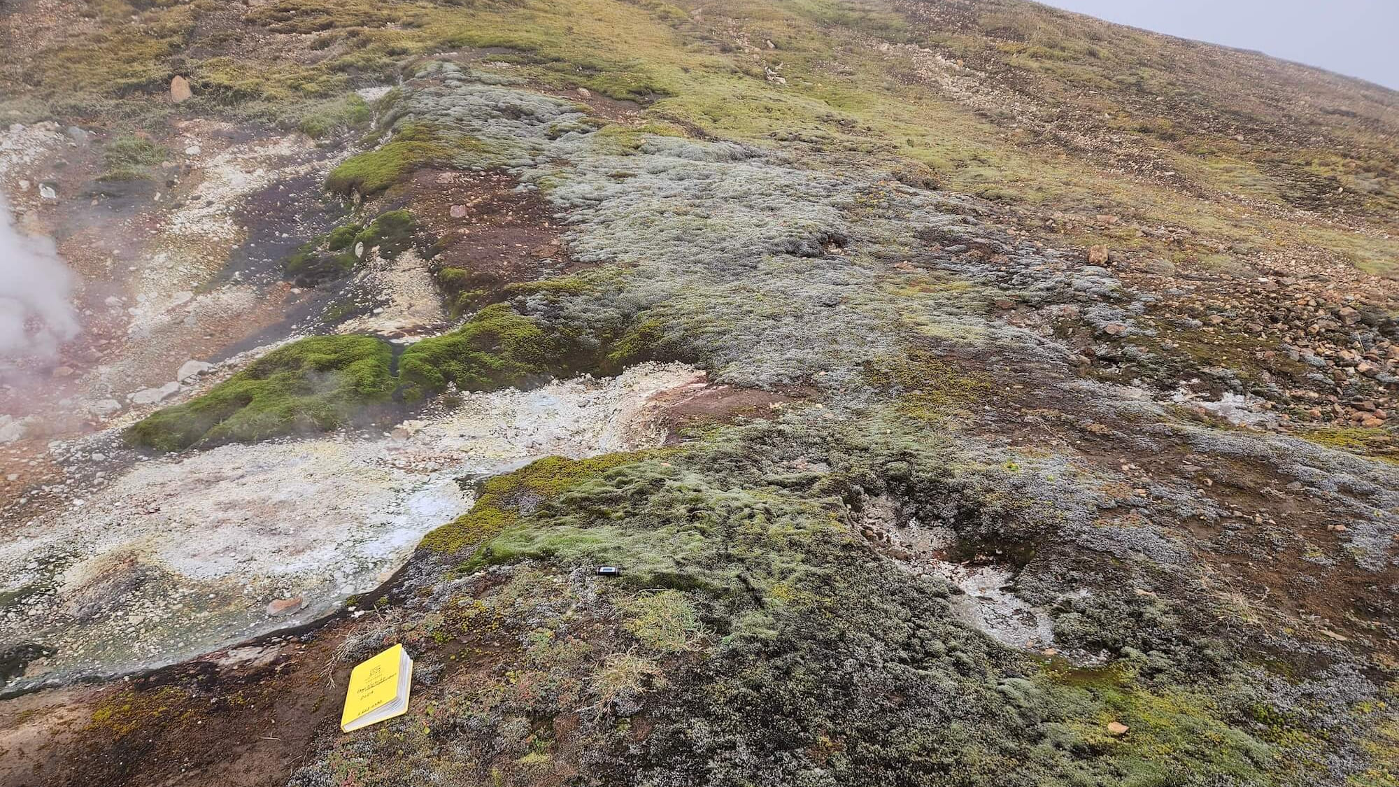Útbreiðsla hæruburstar var könnuð á nokkrum háhitasvæðum, meðal annars Torfajökulssvæðinu